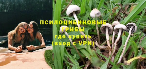 сатива Абдулино